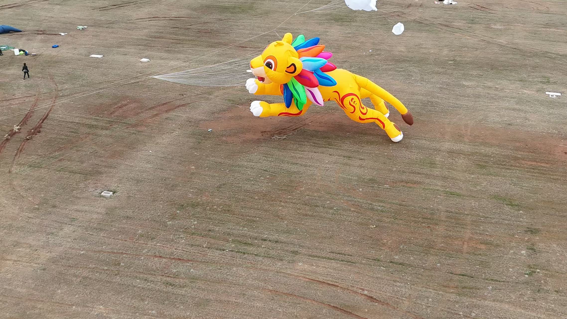 宁波市品牌风筝定制风筝加工 - 厂家