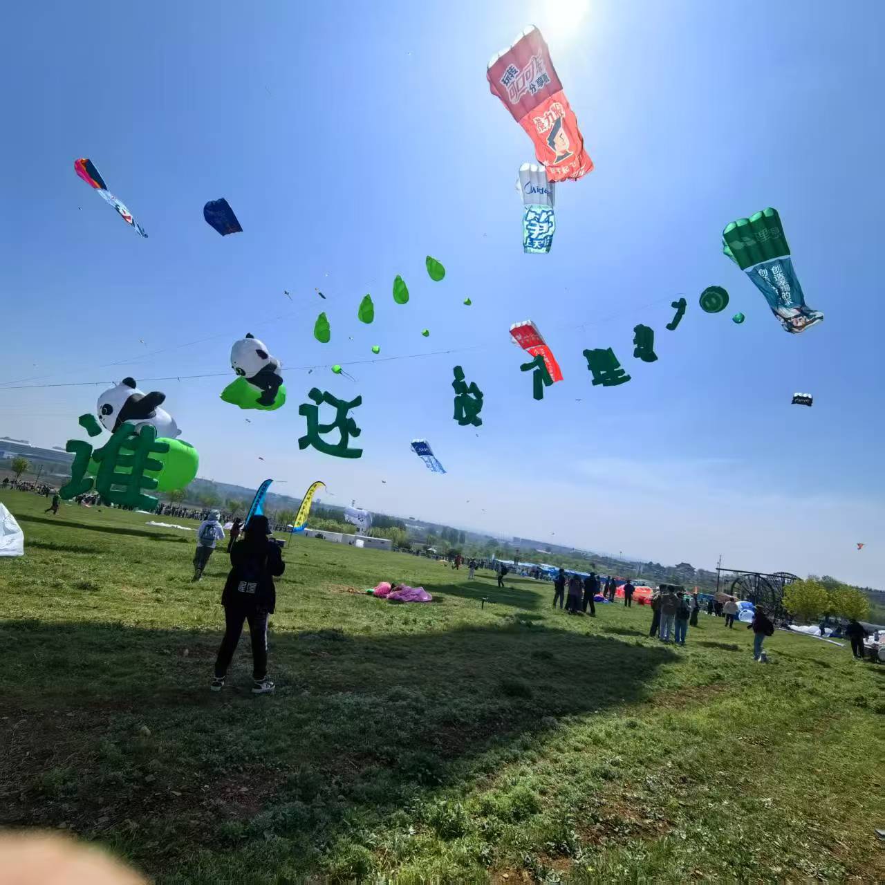 宁波市品牌风筝定制风筝定制 - 一站式服务